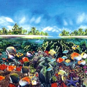 Tahitian Black Pearl Reef 20 Lim-Ed. Lithographs